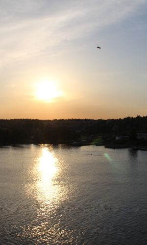 IMG_1349